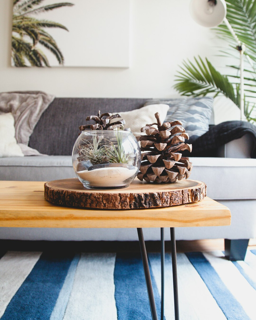 Bright living room with a sofa, plants and a wooden coffee table